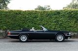 Jaguar XJ-S Classic Collection *1 von 472*  - Jaguar XJS mit Benzin-Antrieb: Cabrio