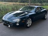 Jaguar XK8 Coupe - - Jaguar XK8 aus 2001