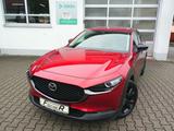Mazda CX-30 SKYACTIV 150 AT Nagisa BOSE/KAMERA/WKR - Mazda CX-30 Nagisa mit Benzin-Antrieb