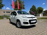 Fiat Panda Pop 1 J. Garantie Tüv & Servive Neu - Fiat in Freiburg