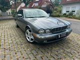 Jaguar XJ 3.5 XJ8+SCHEKCHEFT GEPFLEGT+GUTER ZUSTAND +++ - Jaguar: 3.8