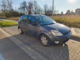 Ford Fiesta 1.4 TDCi, TÜV bis 11/26 Klima Top Zustand - Ford Fiesta aus 2003 mit Diesel-Antrieb