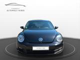 Volkswagen Beetle*SHZ*PDC*TEMPO*KLIMAAUTOM.* - Volkswagen Beetle: Kleinwagen