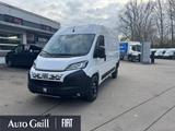 Fiat Ducato 35 L2H2 AHK RüKa CarPlay Allwetterreifen - Fiat Ducato Neuwagen