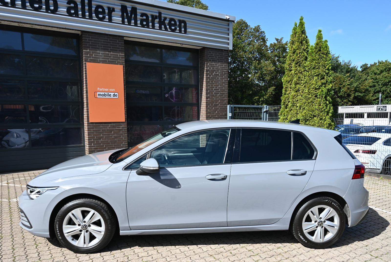Volkswagen Golf VIII Lim. 1.5 TSI Life Navi LED PDC CarPlay, миниатюра 3