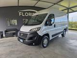 Fiat FIAT DUCATO 2.3 MJT 120CV X ALIMENTI E FARMACI - Fiat Ducato: X