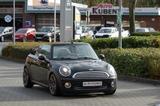 MINI COOPER Cabrio Chili LEDER TEMP SHZ HARMAN/KARDON - MINI MINI aus 2010: Cabrio