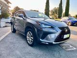 Lexus NX 300h Hybrid 4WD Business - gebrauchte Lexus Kombis