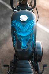 Harley-Davidson 883 - HARLEY-DAVIDSON 2009 883