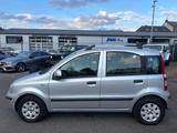 Fiat Panda 1.2 8V Dynamic*TÜVNEU*KLIMA*USB*E.FENSTER* - Fiat Panda Gebrauchtwagen in Mülheim (Ruhr)