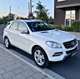 Mercedes-Benz ML 250 BlueTEC 4MATIC - : Mercedes Ml