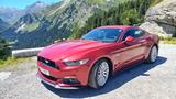 Ford Mustang GT 5.0 EU-Modell, Automatik, Saisonfzg. - Ford Mustang Gebrauchtwagen in München