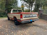 Ford USA F100 V8 Coyote Pick-Up mit AHK - Ford F 100 mit Benzin-Antrieb: Automatik
