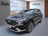 Hyundai SANTA FE 2.2 CRDi 4WD Signature 5-Sitzer HUD Niv - Hyundai SANTA FE: Signature