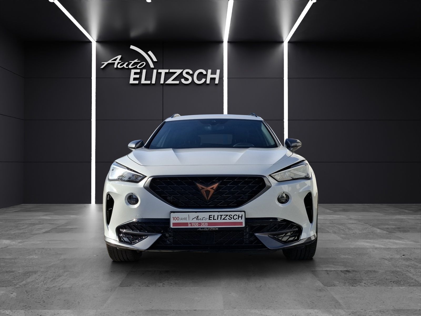 Fahrzeugabbildung CUPRA Formentor TSI DSG LED ACC RFK SH 19"