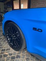 Ford Mustang 5.0 Ti-VCT V8 GT Auto GT - Ford Mustang Gebrauchtwagen in Hamburg