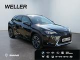 Lexus UX 250h Style Edition *Bi-LED*ACC*CAM*SHZ*CarPla - Lexus: Allradantrieb