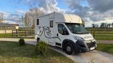 Citroën Pferdesprinter - 2er Transporter mit Wohnkabine - Tier- & Pferdetransport für 2 Pferde