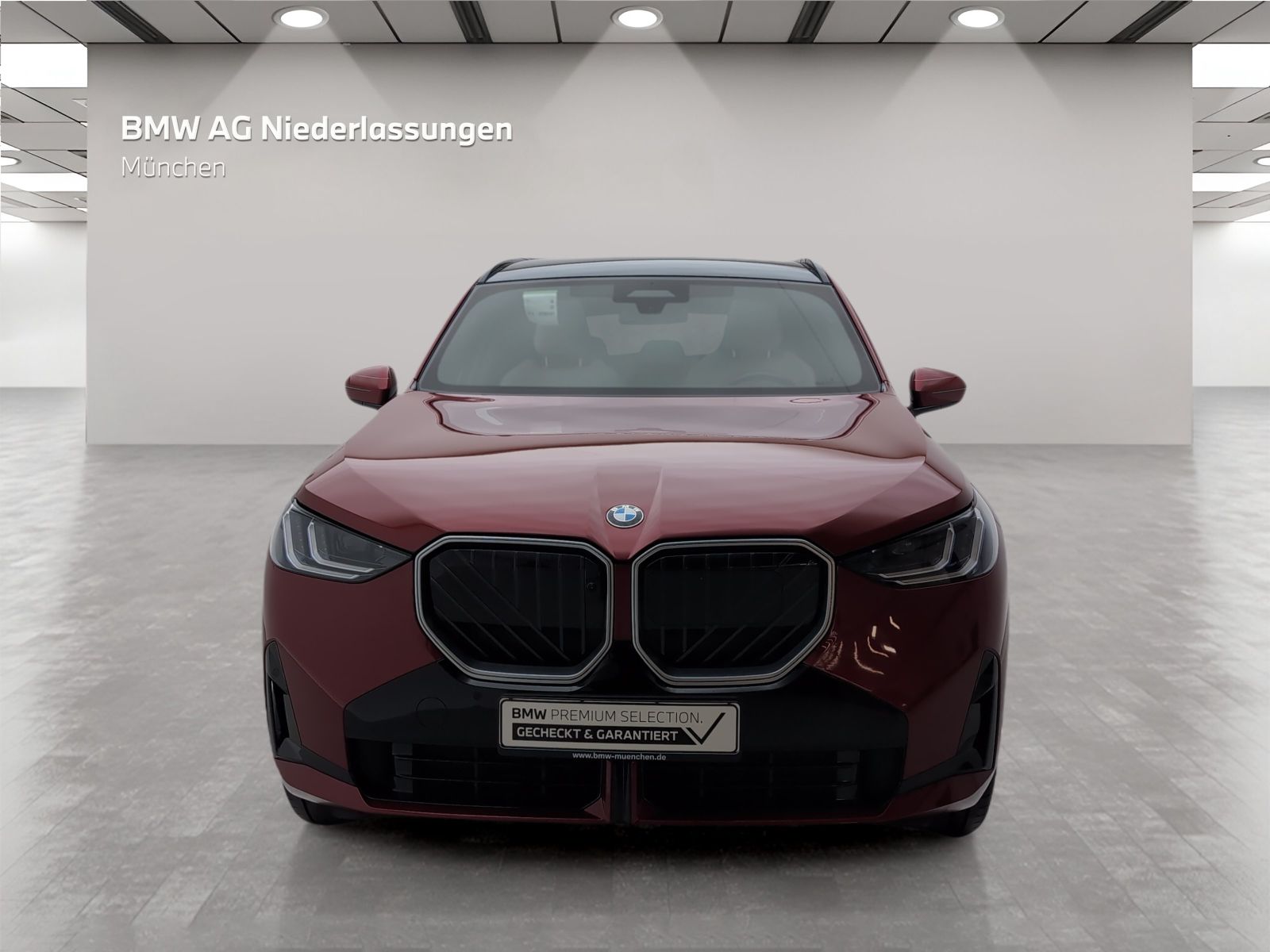BMW X3 30e xDrive M Sport AHK Driv.Assist.Prof LED H foto 4