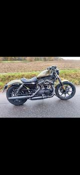 Harley-Davidson Iron 883 Custom - HARLEY-DAVIDSON 883 CUSTOM