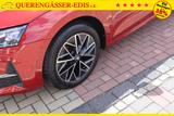 Skoda Octavia 1.5TSI "130LET"*Cayenne Orange Pearl*... - Skoda: Orange