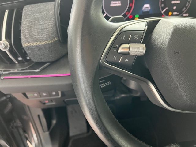 Fahrzeugabbildung SKODA Kodiaq 2.0 TDI DSG 4x4 SELECTION AHK MATRIX NAVI