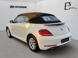 Volkswagen Beetle Cabriolet 2.0 TDI BMT 6-MT Design Licht+S - Volkswagen Beetle mit Diesel-Antrieb: Cabrio