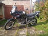 Honda XL 600V Transalp PD10 - Offers matching your search criteria