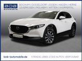 Mazda CX-30 2.0 SKYACTIV-G M Hybrid 150 NAVI PDC BT - Mazda CX-30 in Essen