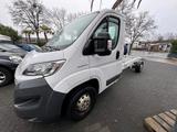 Fiat Ducato - Fiat Ducato in Bonn
