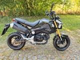 Honda Zum Verkauf steht eine Honda MSX 125 - HONDA MSX 125