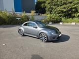 Volkswagen Beetle GSR Limitiert 1904/3500 - Volkswagen Gebrauchtwagen in Hagen