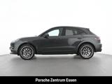 Porsche Macan S/ Apple CarPlay Privacyverglasung Indukti - Porsche Macan in Bochum
