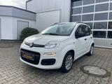 Fiat Panda My Panda - gebrauchte Fiat Panda aus dem Jahr 2014