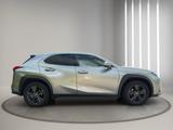 Lexus UX 250h - - Lexus UX Gebrauchtwagen