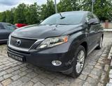Lexus RX 450 450h Executive Line - Lexus RX 450 in Dresden