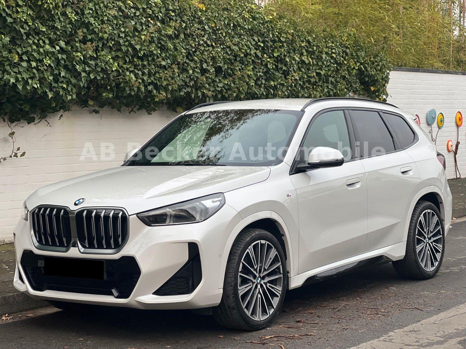 BMW X1 23 d xDrive M Sport*AHK*360*ACC*HEAD-UP*LED*