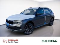 Skoda Kamiq - Vorschau Bild 1