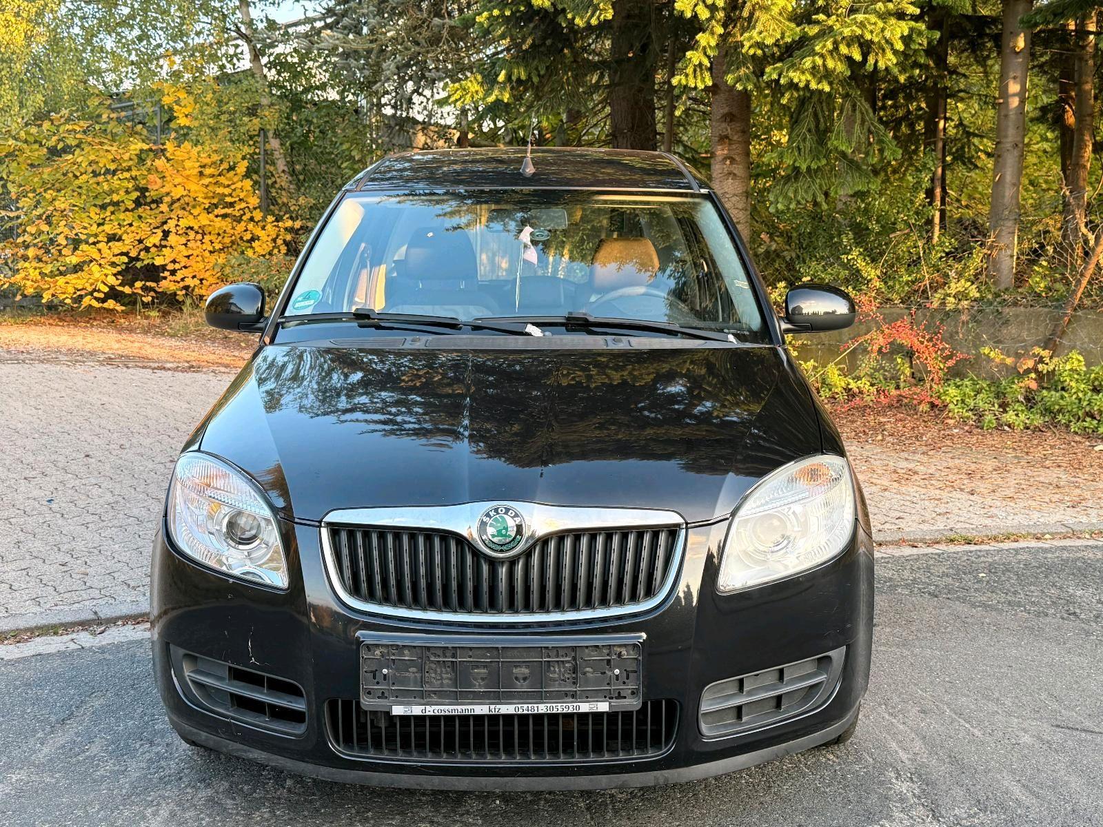 Skoda Roomster 2010 — rear view