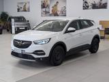 Opel Grandland 1.5 Diesel Business Elegance AHK Navi - Opel Grandland (X) elegance mit Diesel-Antrieb
