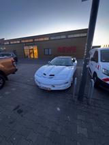 Pontiac Trans Am - Pontiac Gebrauchtwagen