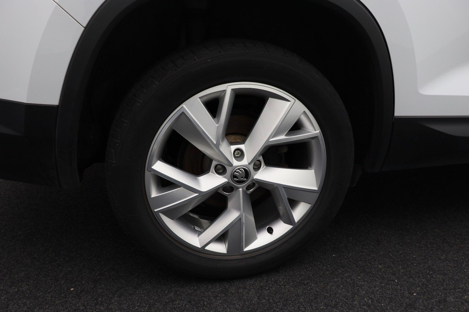 Fahrzeugabbildung SKODA Kodiaq Style 4x4 DSG AHK Panorama Kamera19"
