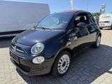 Fiat 500 C 1.2 8V Lounge SITZHEIZUNG,KLIMA,ALU,PDC - Fiat 500C: Sitzheizung