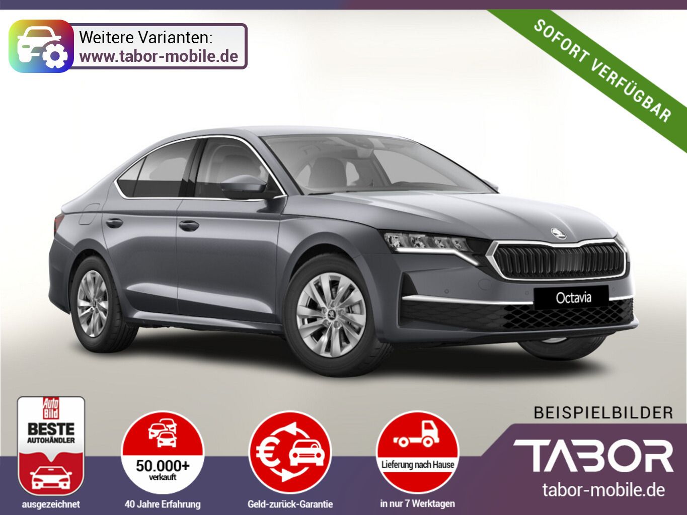 Skoda Octavia DSG Selec Matrix Nav Kessy Kam UVP-35%*