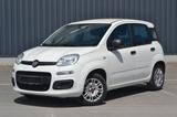 Fiat Panda 1,2 Lounge Klima PDC Sitzheizung 1.Hand - Fiat Panda Gebrauchtwagen in Nürnberg