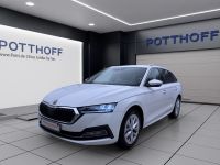 Skoda Octavia - Vorschau Bild 2