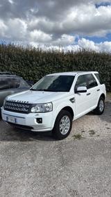 Land Rover Freelander 2.2 SD4 S.W. HSE - gebrauchte Land Rover Freelander aus dem Jahr 2011