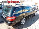 Mercedes-Benz E 350 E -Klasse T-Modell AVANTGARDE AMG FELGEN - Mercedes-Benz E-Klasse: Felgen