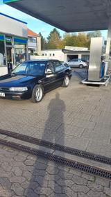 Honda Accord - blaue Honda Accord