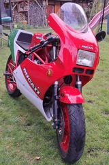 Ducati 750 F1 - DUCATI 750